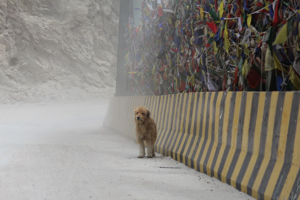 Photo of Spiti - The Land of LAMA.... 18/25 by Hitesh Chhabra