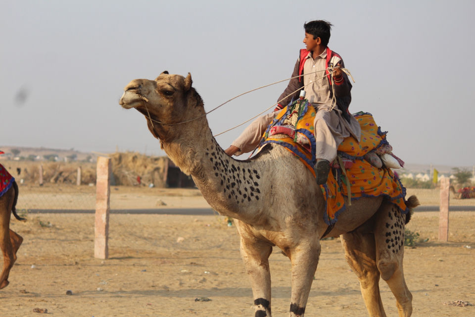 Photo of Road Trip - Rann Of Kutch - Jaisalmer 2/29 by Hitesh Chhabra