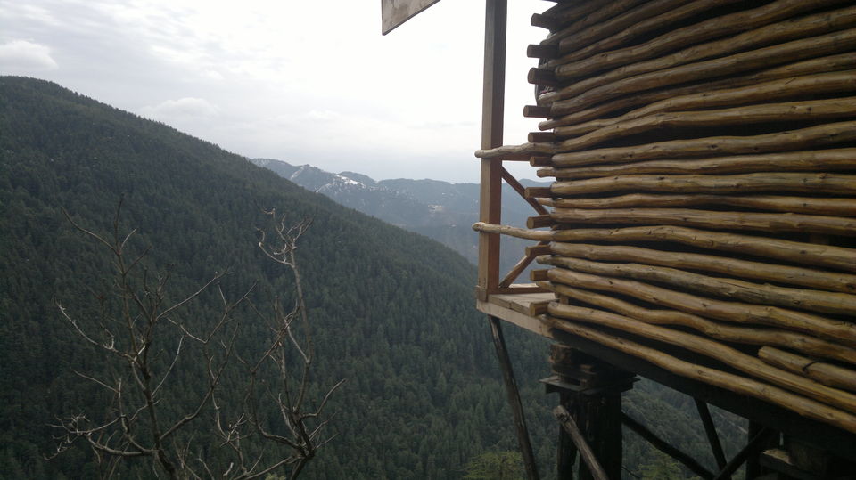 Photo of Backpacking to Upper Assam and Shillong 29/36 by Siddharth Sharma