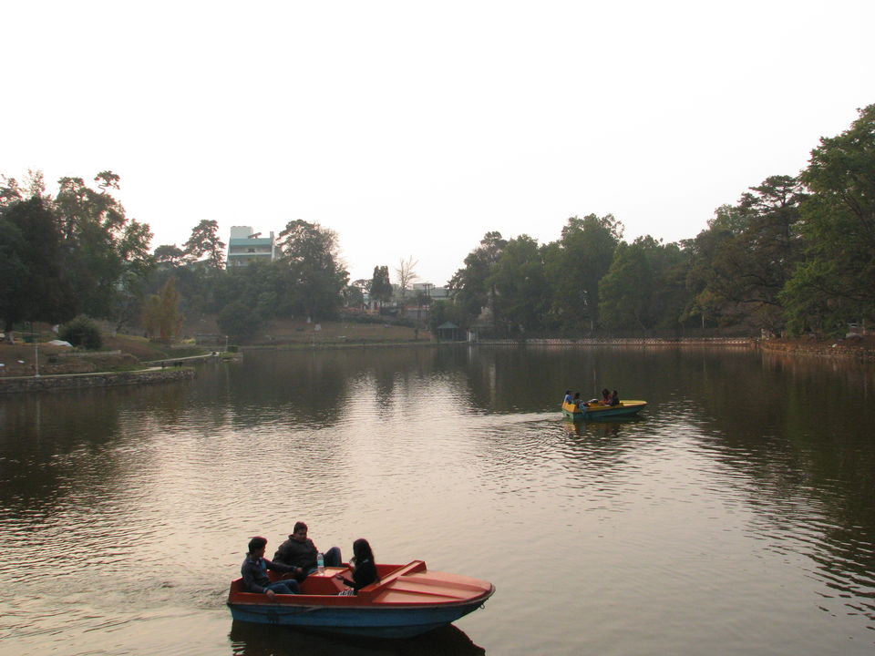 Photo of Backpacking to Upper Assam and Shillong 8/36 by Siddharth Sharma