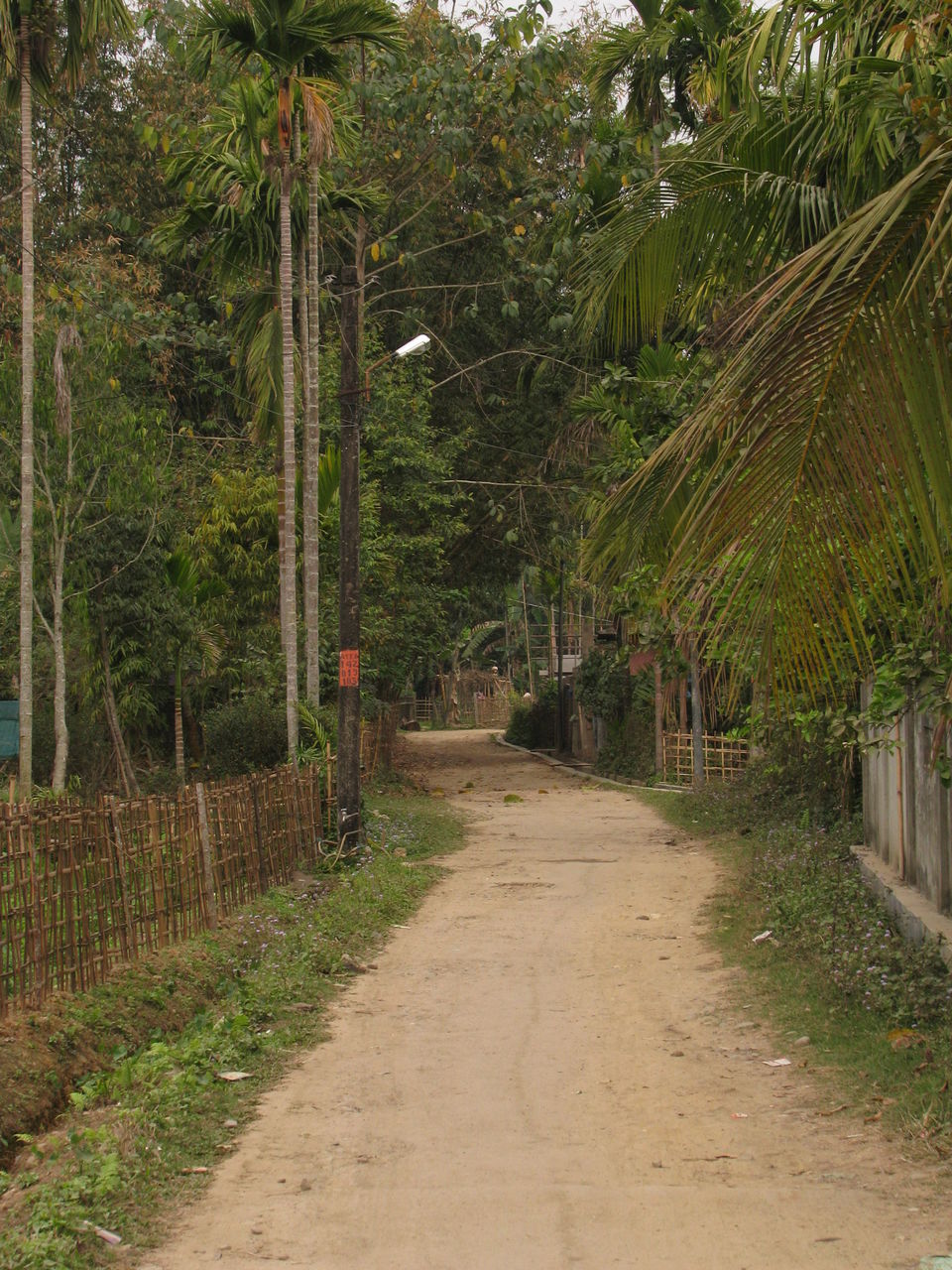 Photo of Backpacking to Upper Assam and Shillong 26/36 by Siddharth Sharma