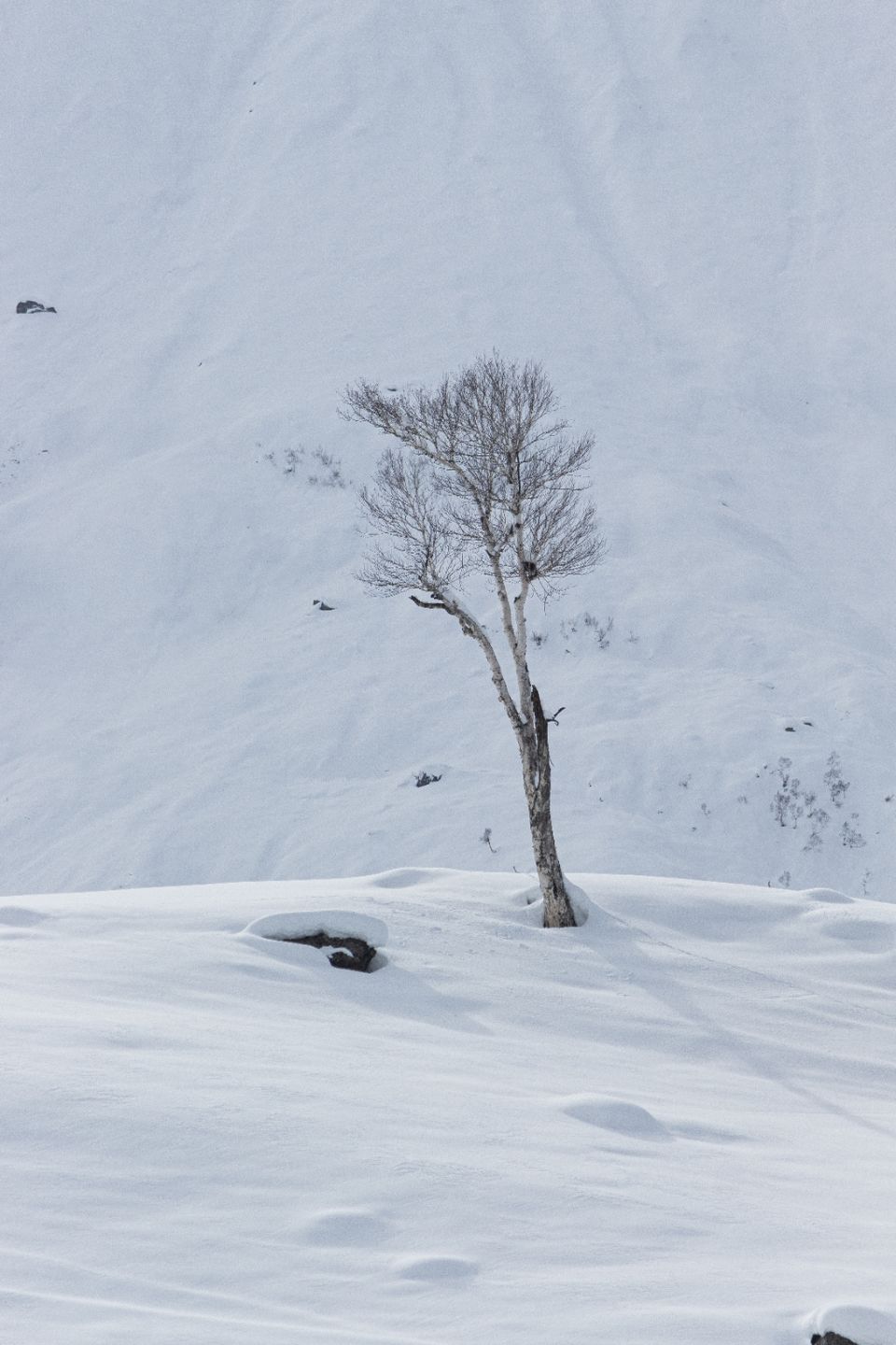 Photo of Jammu and Kashmir by Naveed Bashir photography