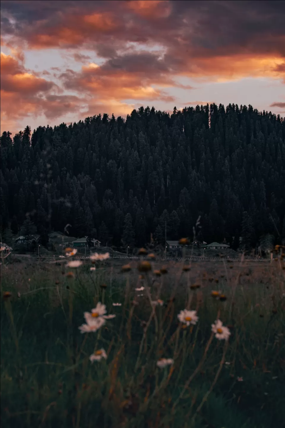 Photo of KASHMIR by Naveed Bashir photography