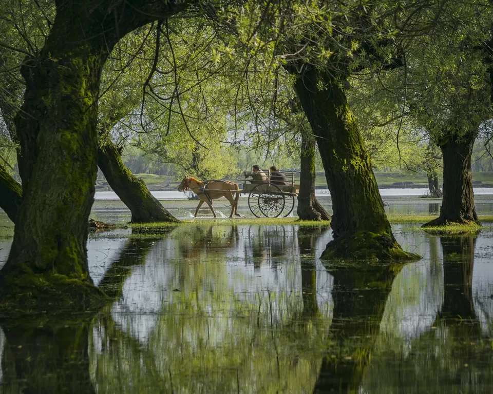 Photo of KASHMIR by Naveed Bashir photography