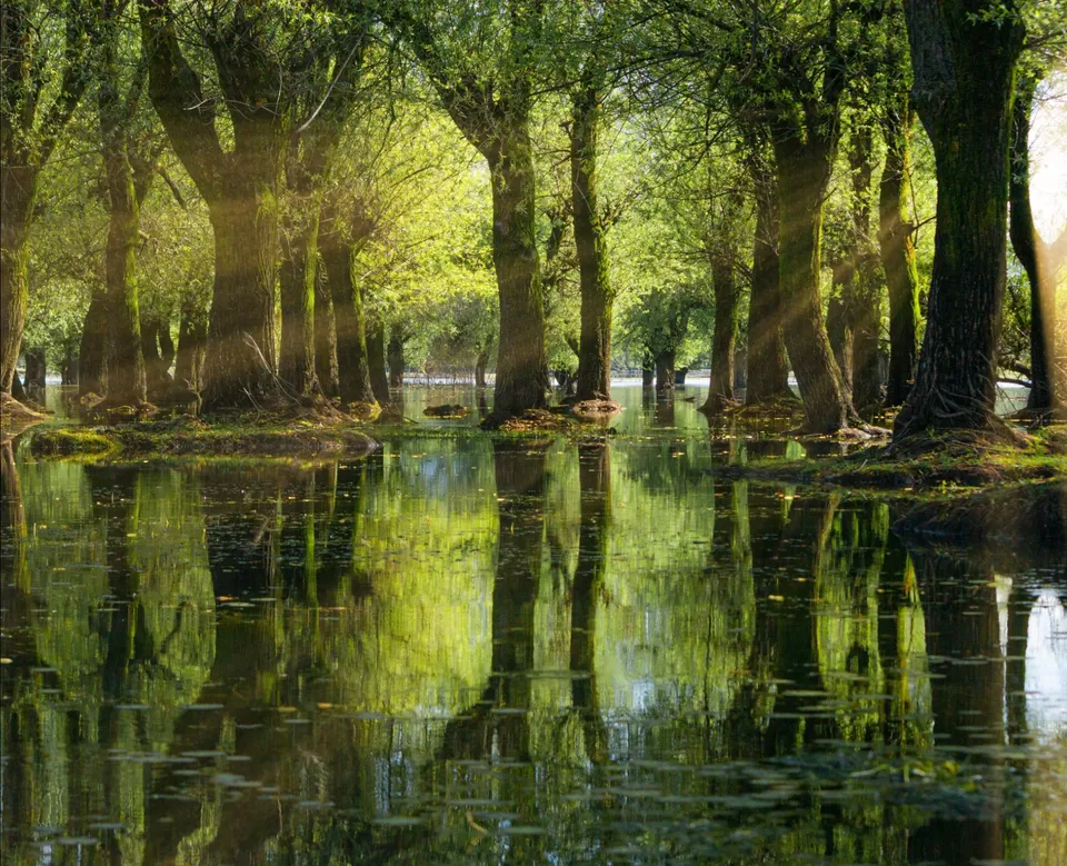 Photo of KASHMIR by Naveed Bashir photography