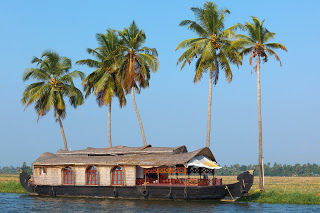 Photo of The Biennale in the Alappuzha 1/1 by Ann Maria jose