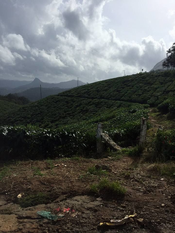 Photo of God's own country – Kerala tales! 6/9 by Ankur Shukla