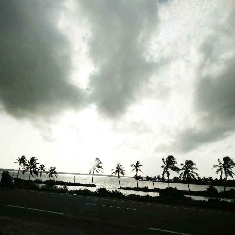 Photo of God's own country – Kerala tales! 9/9 by Ankur Shukla