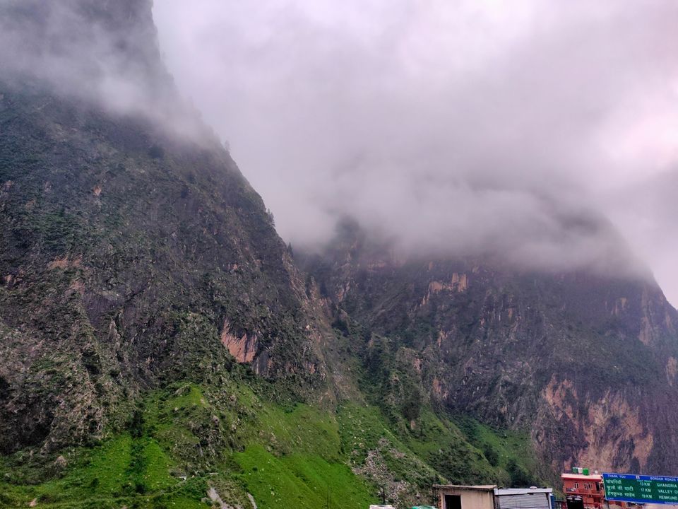 Photo of Valley Of Flowers by Tung Vidya