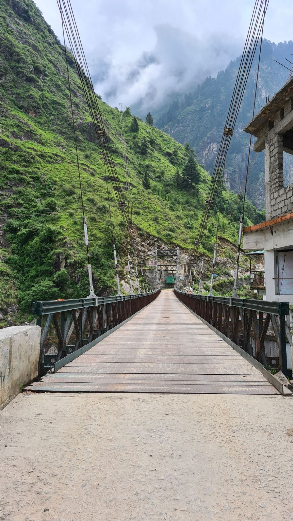 Photo of Valley Of Flowers by Tung Vidya