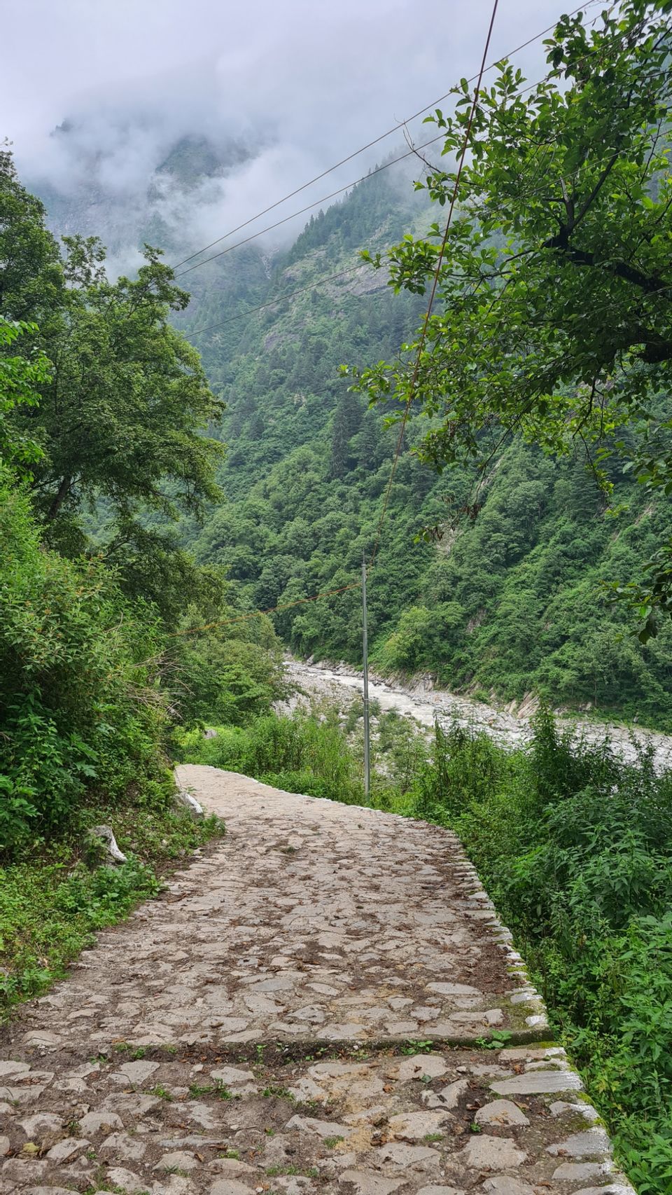 Photo of Valley Of Flowers by Tung Vidya