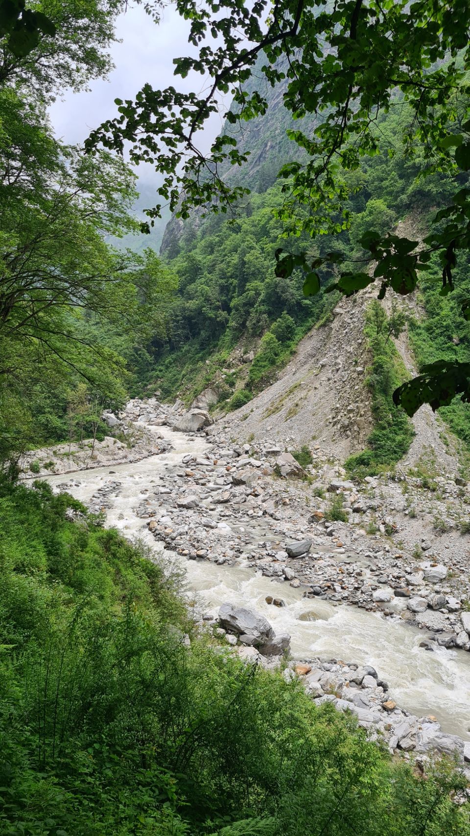 Photo of Valley Of Flowers by Tung Vidya
