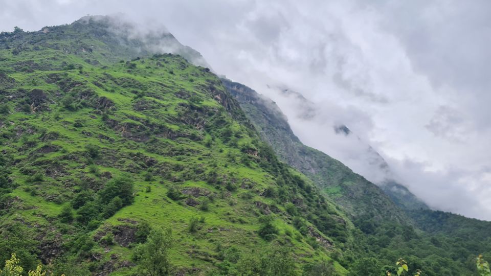 Photo of Valley Of Flowers by Tung Vidya
