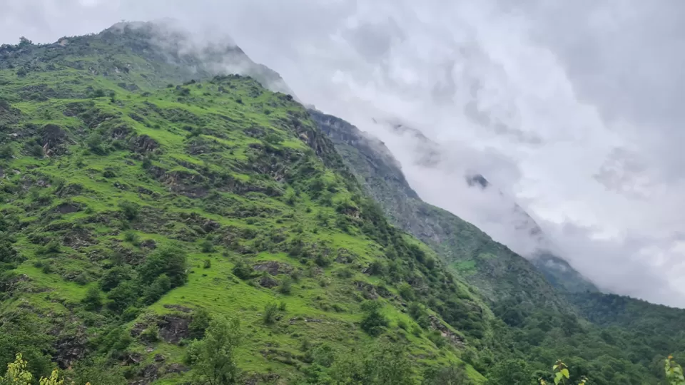 Photo of Valley Of Flowers by Tung Vidya