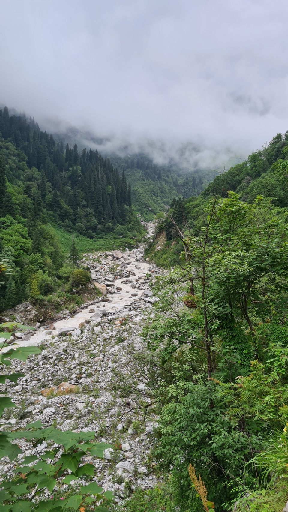 Photo of Valley Of Flowers by Tung Vidya