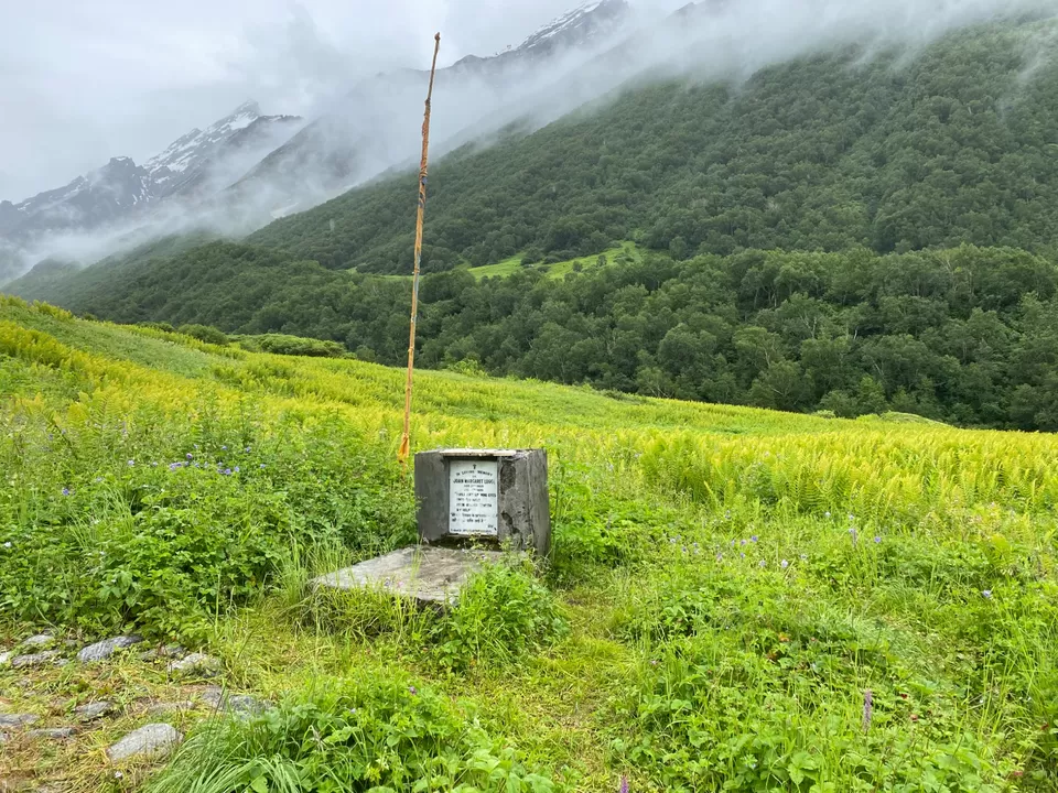 Photo of Valley Of Flowers by Tung Vidya