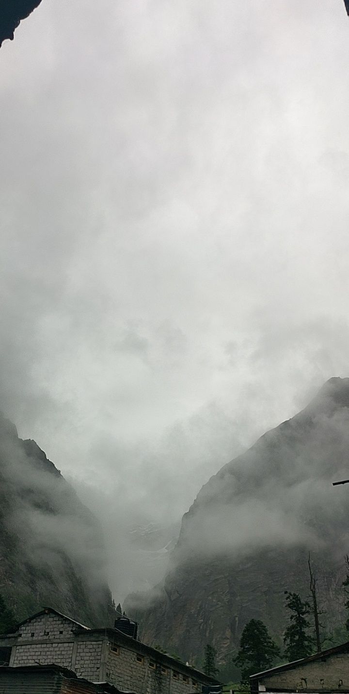Photo of Valley Of Flowers by Tung Vidya