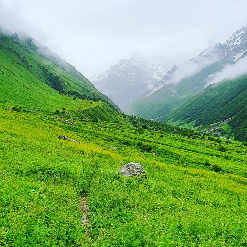 Photo of Valley Of Flowers by Tung Vidya