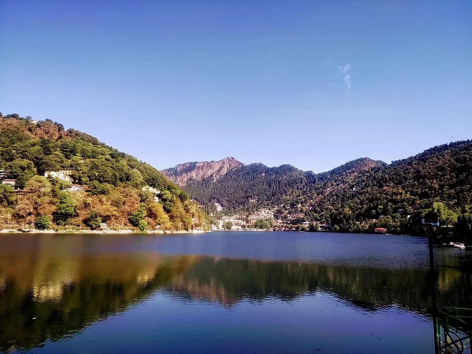 Photo of लॉकडाउन के पर्यटक पंछी..नैनीताल by Mountain Musafeer