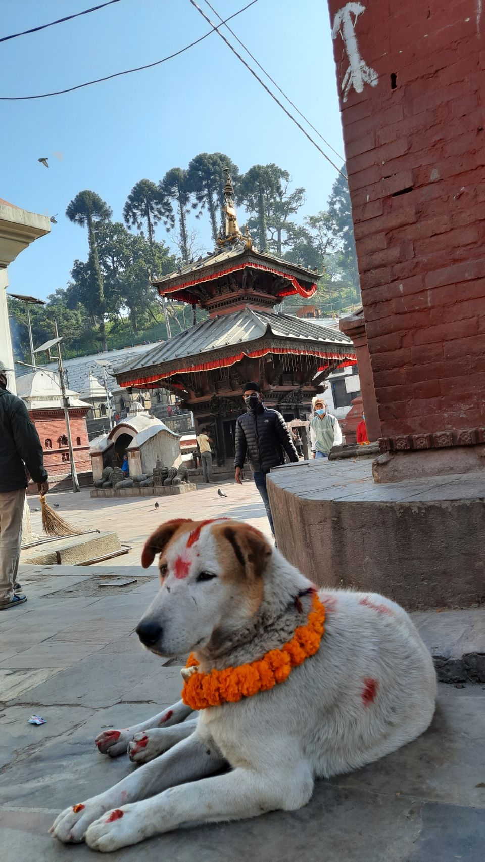 Photo of पशुपतिनाथ.. सन्यासियों के मन की बात ..! by Pahadi guide