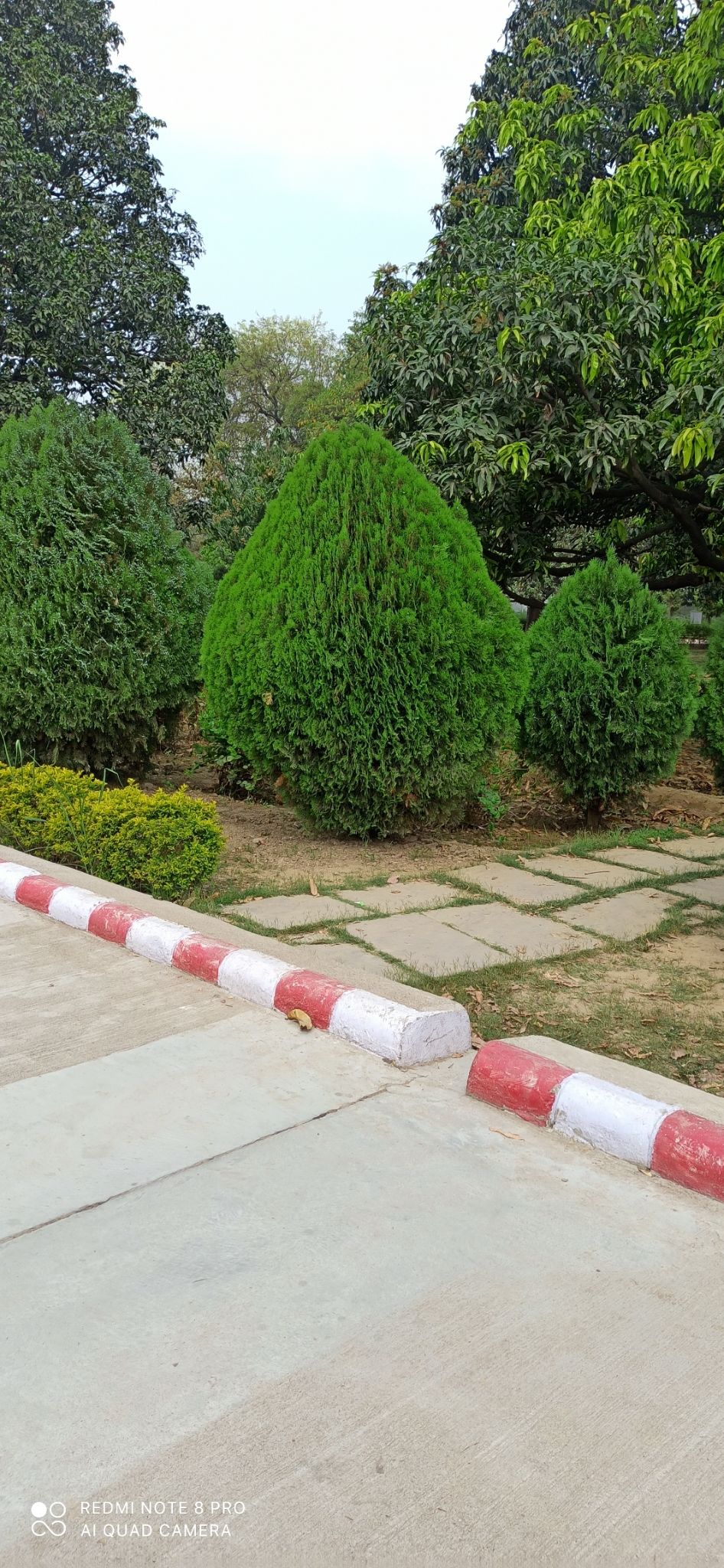 Photo of J.k. temple Kanpur by Vikas Mishra
