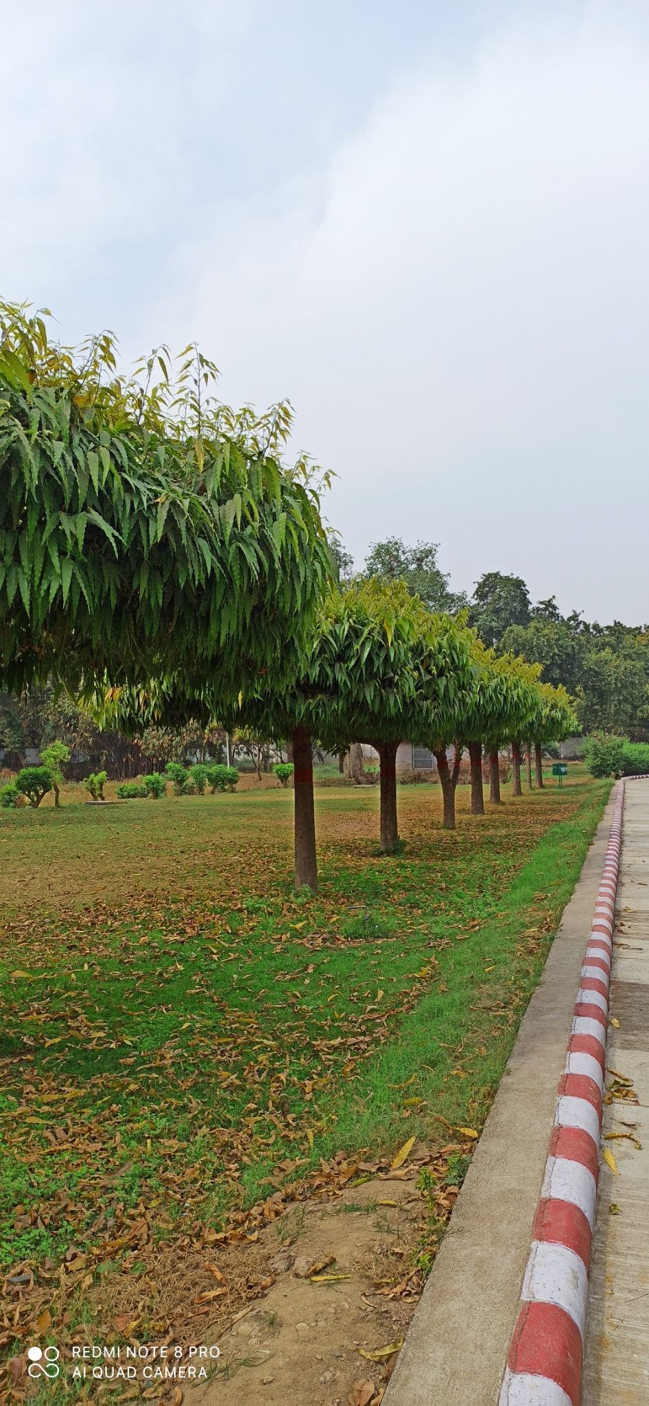 Photo of J.k. temple Kanpur by Vikas Mishra