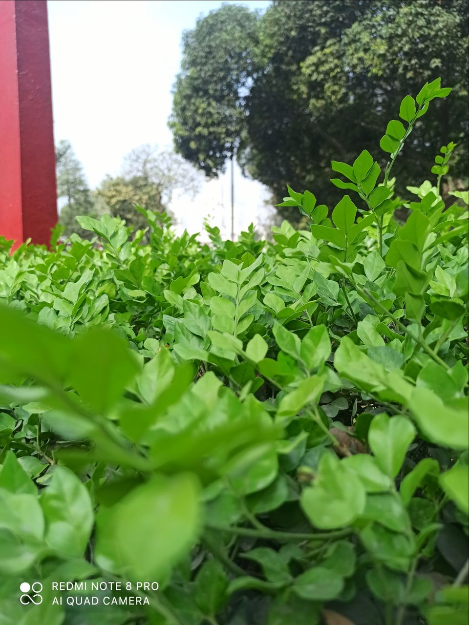 Photo of J.k. temple Kanpur by Vikas Mishra