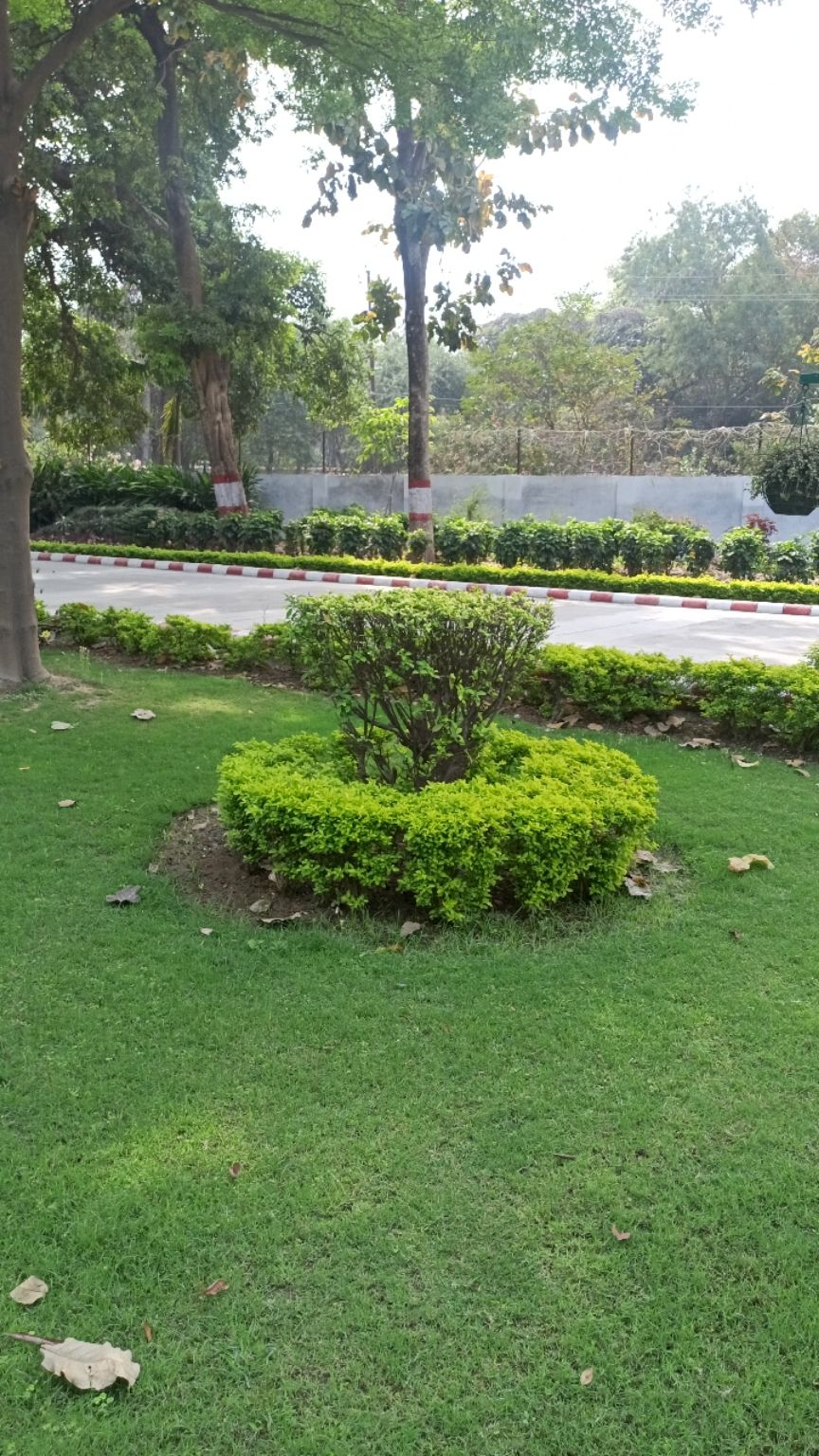 Photo of J.k. temple Kanpur by Vikas Mishra
