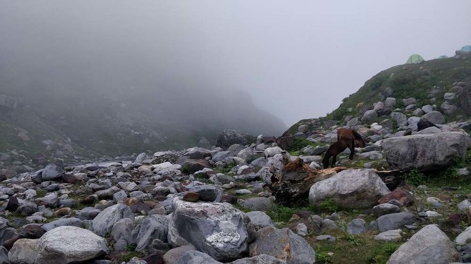 Photo of Get ready for the ultimate monsoon adventure in Himalayas#MonsoonAdventure by wellplannedtrip.com