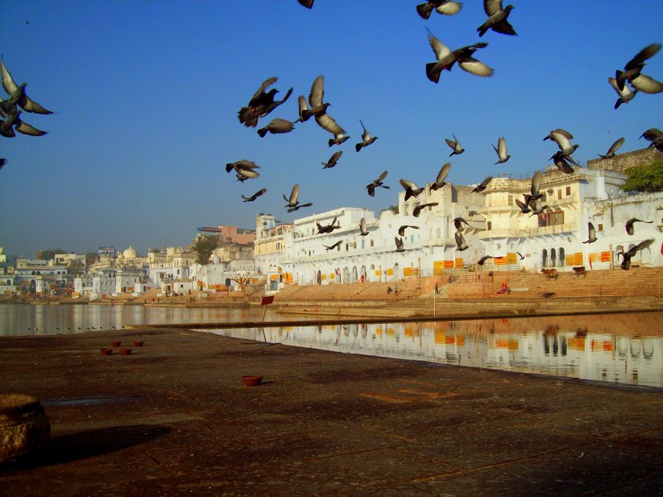 Photo of Pushkar Lake, Pushkar, Rajasthan, India by Munish