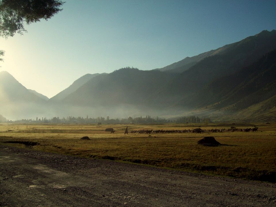 Photo of Gurez Valley, Forest Block by Munish