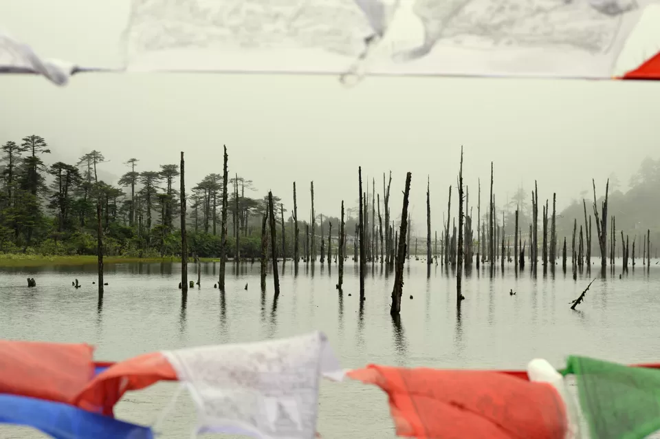 Photo of Sangetsar Lake by Munish