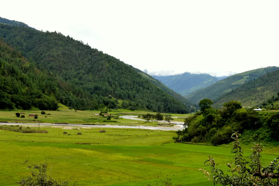 Photo of Dirang by Munish