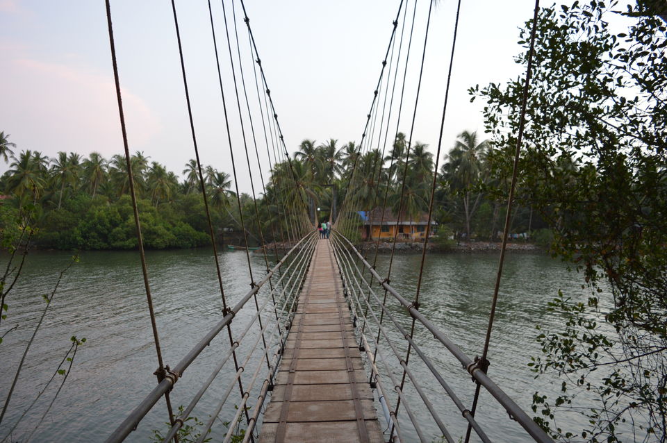 Photo of Hey Manipal: What are you doing here at Tripoto? 6/18 by Munish