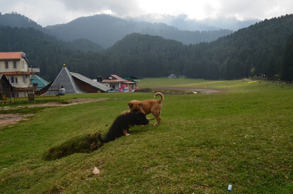 Photo of Dalhousie, Himachal Pradesh, India by Mehul Rangani