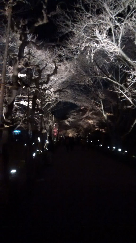 Photo of Tales from Japan – Kyoto 8/26 by Sudeep