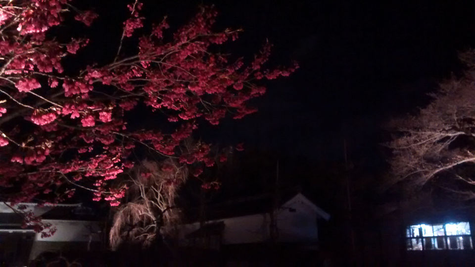 Photo of Tales from Japan – Kyoto 9/26 by Sudeep
