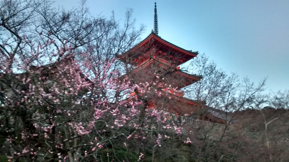 Photo of Tales from Japan – Kyoto 23/26 by Sudeep