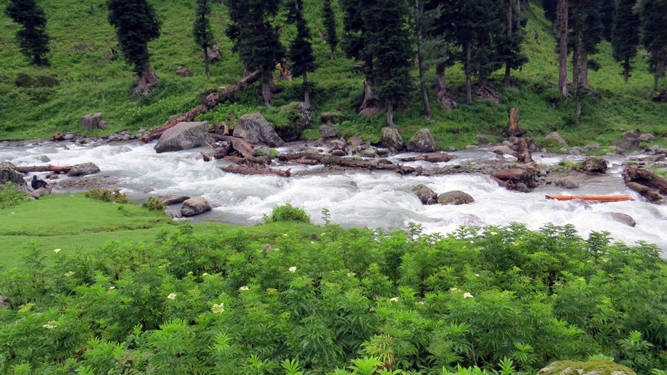 Photo of This village is a hidden paradise in Kashmir 6/10 by The Compulsive Traveller