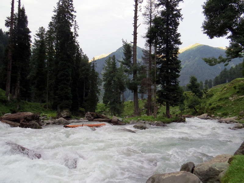 Photo of This village is a hidden paradise in Kashmir 7/10 by The Compulsive Traveller