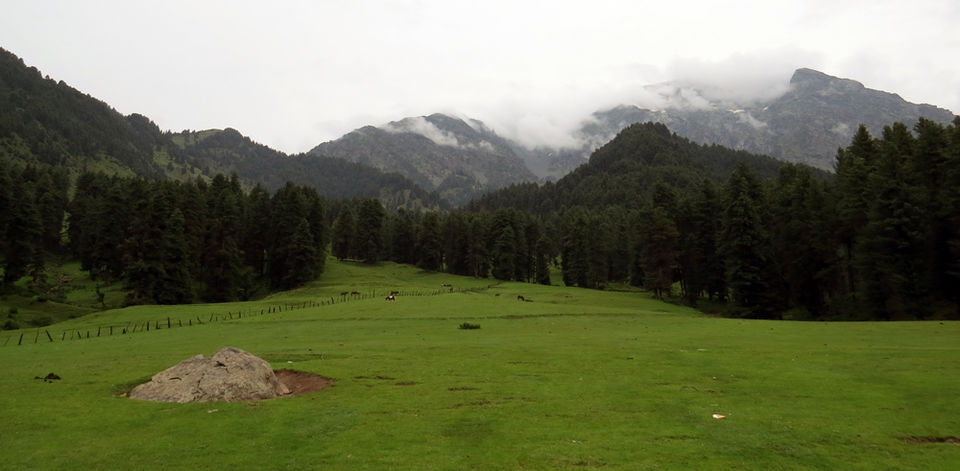 Photo of This village is a hidden paradise in Kashmir 8/10 by The Compulsive Traveller