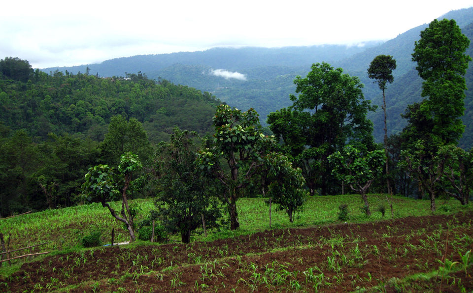 Photo of Yuksom – A village in Sikkim with an old-world charm 3/10 by The Compulsive Traveller