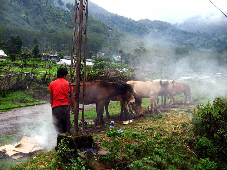 Photo of Yuksom – A village in Sikkim with an old-world charm 6/10 by The Compulsive Traveller
