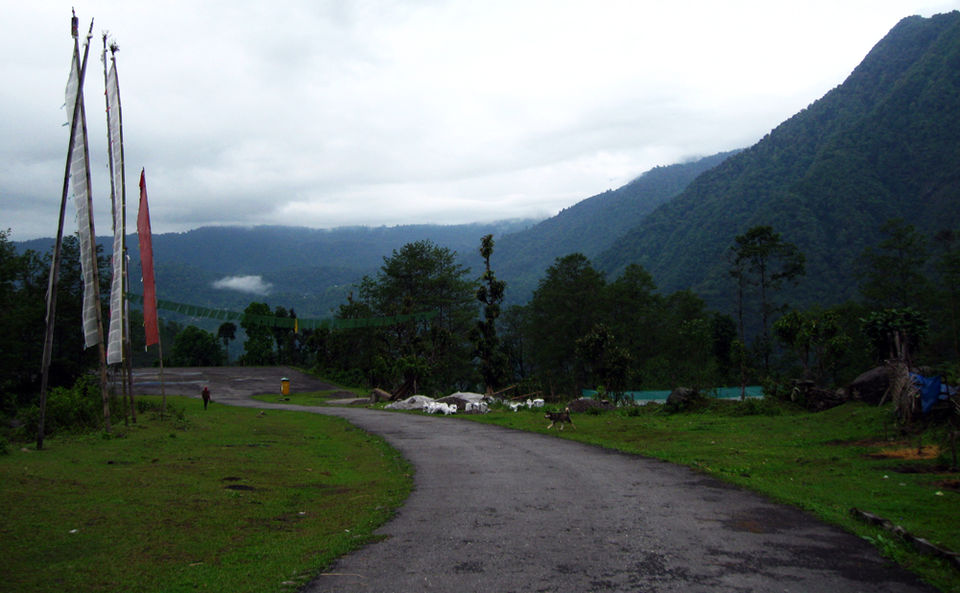 Photo of Yuksom – A village in Sikkim with an old-world charm 9/10 by The Compulsive Traveller