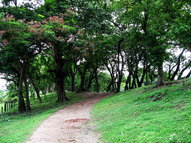 Photo of The 2500-year-old lost city of Bengal 1/14 by The Compulsive Traveller
