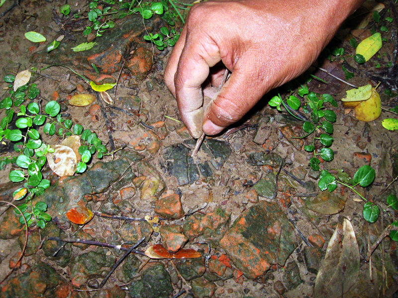 Photo of The 2500-year-old lost city of Bengal 3/14 by The Compulsive Traveller