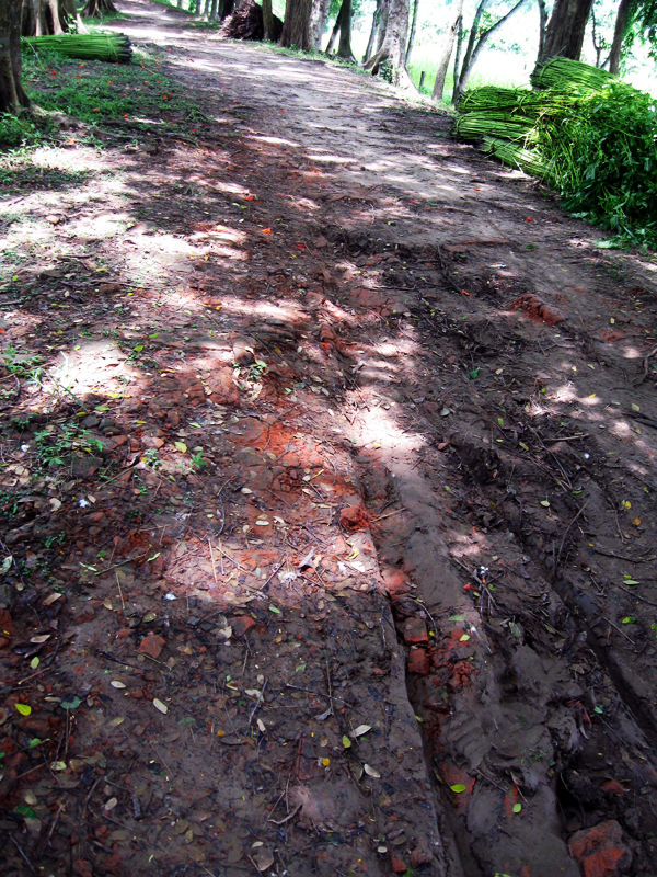 Photo of The 2500-year-old lost city of Bengal 5/14 by The Compulsive Traveller
