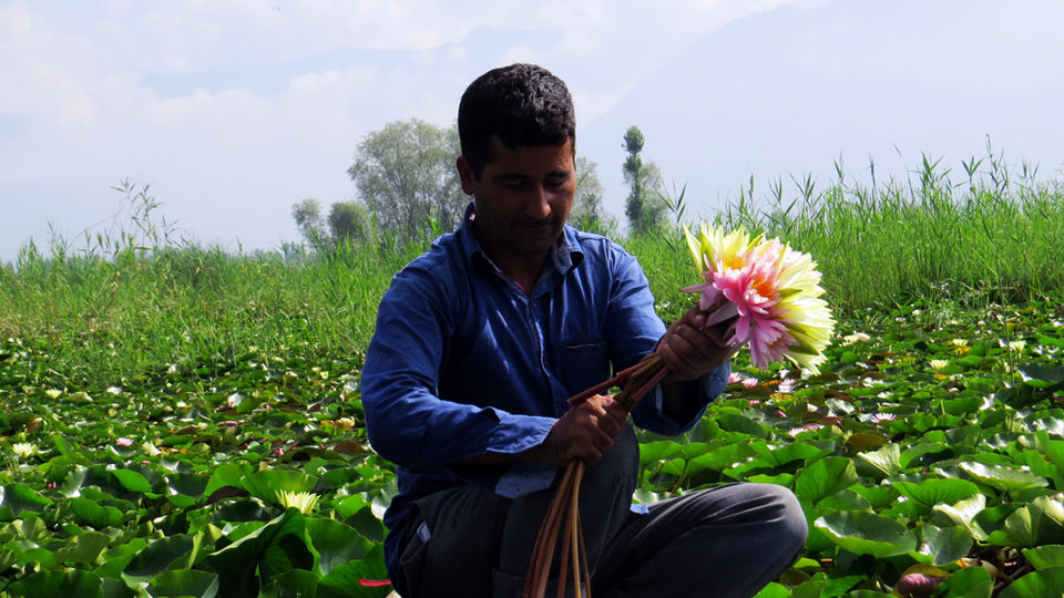 Photo of A shikara ride to the floating villages of Srinagar 6/10 by The Compulsive Traveller