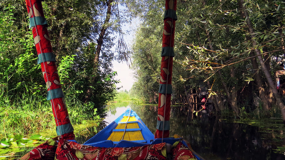 Photo of A shikara ride to the floating villages of Srinagar 7/10 by The Compulsive Traveller