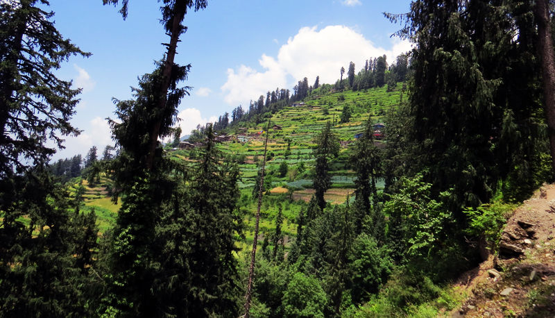 Photo of Sarahan, gateway to the land of 'divine musicians' 2/13 by The Compulsive Traveller